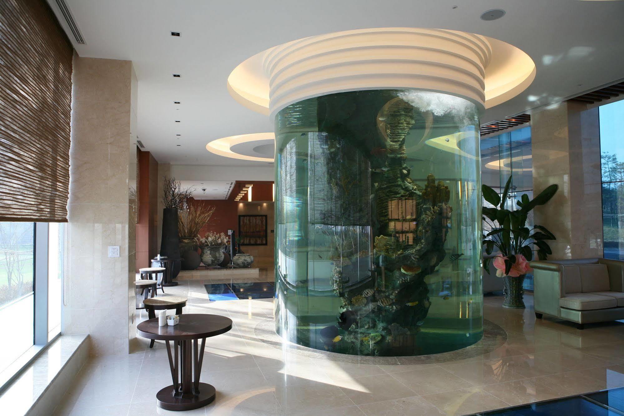 Hotel Pineridge Sokčcho Exteriér fotografie